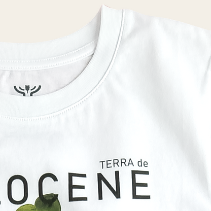 Blåsippa